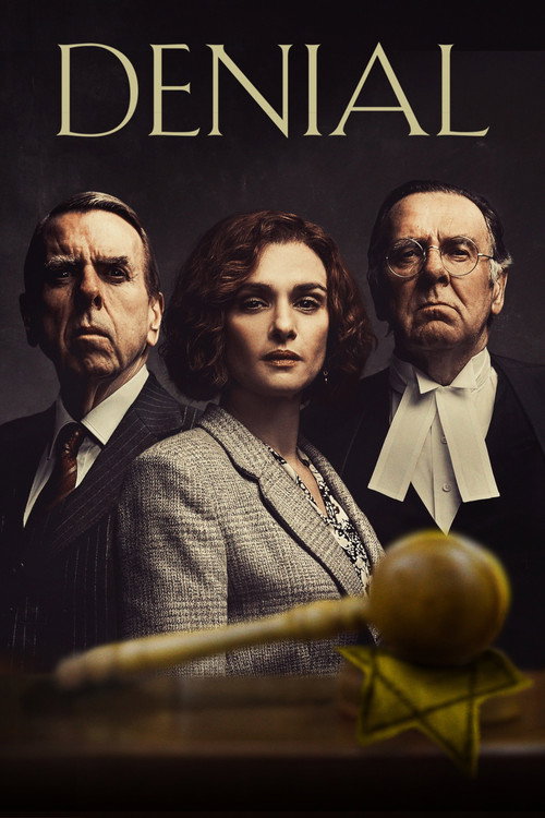 Denial film afişi