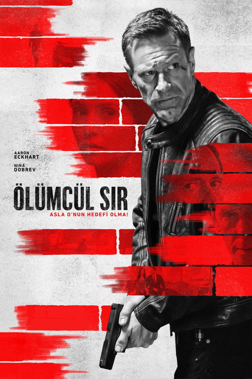 The Bricklayer film afişi