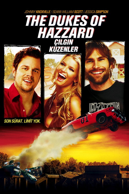 Çılgın Kuzenler film afişi