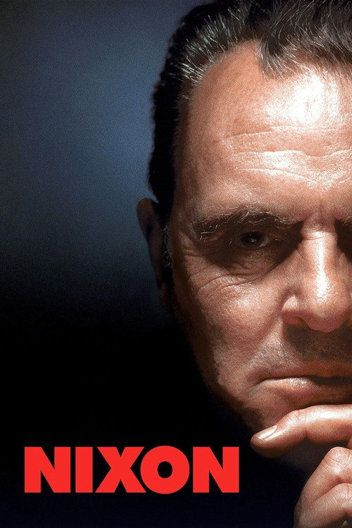 Nixon film afişi