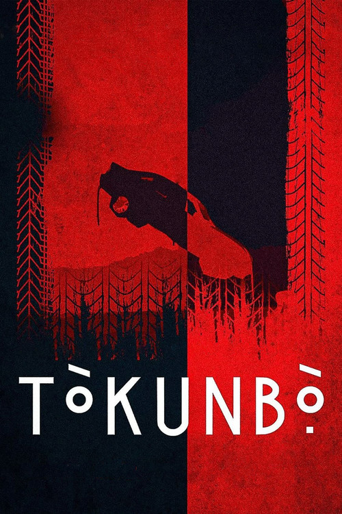 Tòkunbọ̀ film afişi