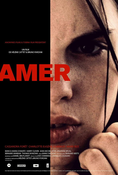 Amer film afişi