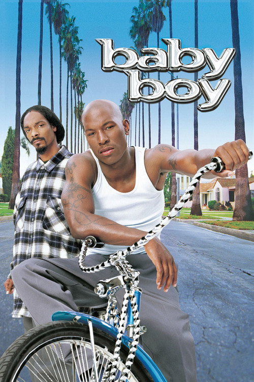 Baby Boy film afişi
