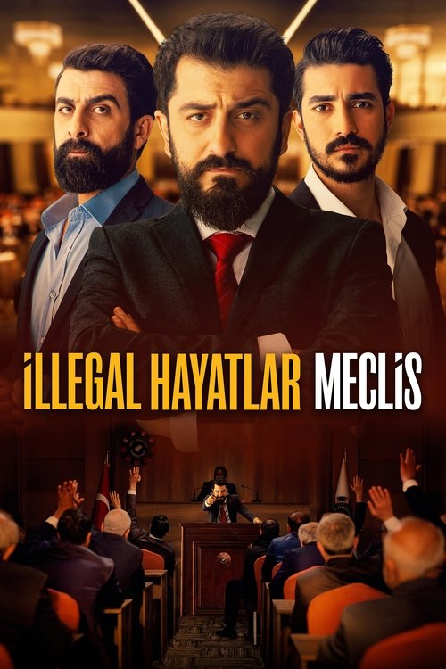 İllegal Hayatlar: Meclis film afişi