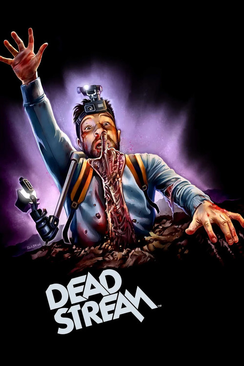 Deadstream film afişi