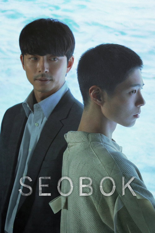 서복 film afişi