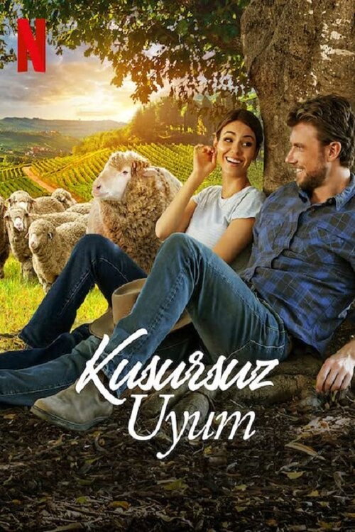 A Perfect Pairing film afişi