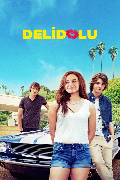 The Kissing Booth film afişi