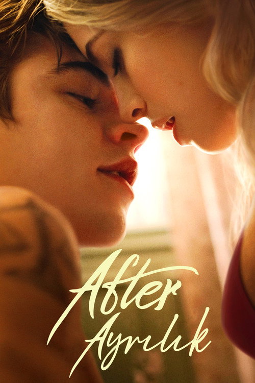 After We Fell film afişi