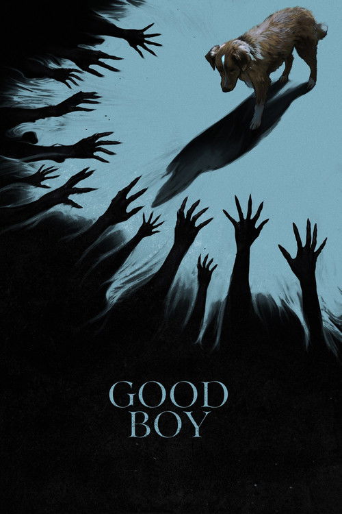 Good Boy dizi afişi