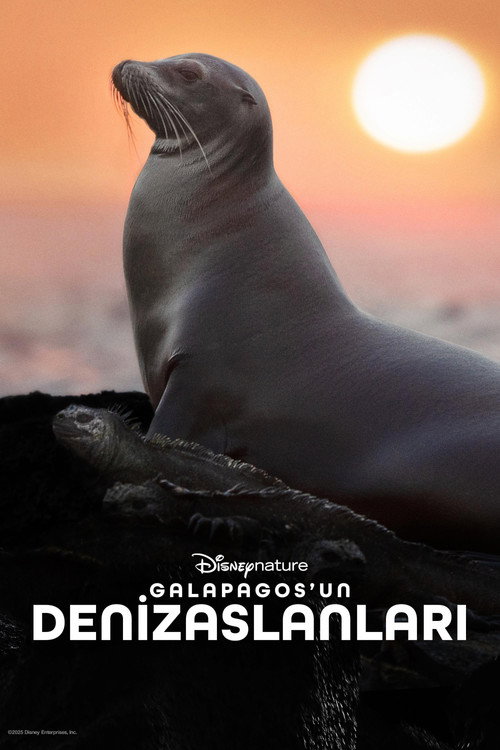 Sea Lions of the Galapagos film afişi