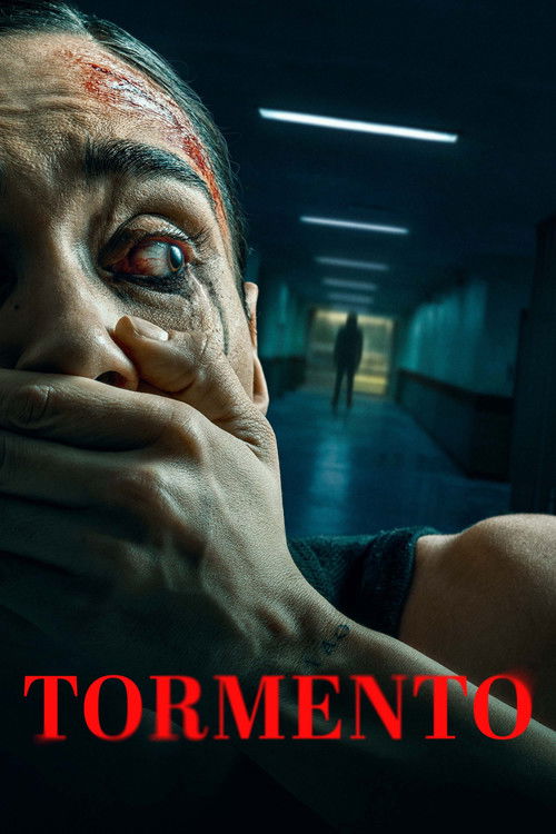 Torment film afişi