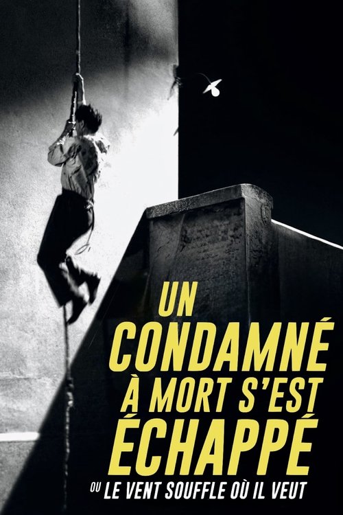 Un condamné à mort s'est échappé film afişi