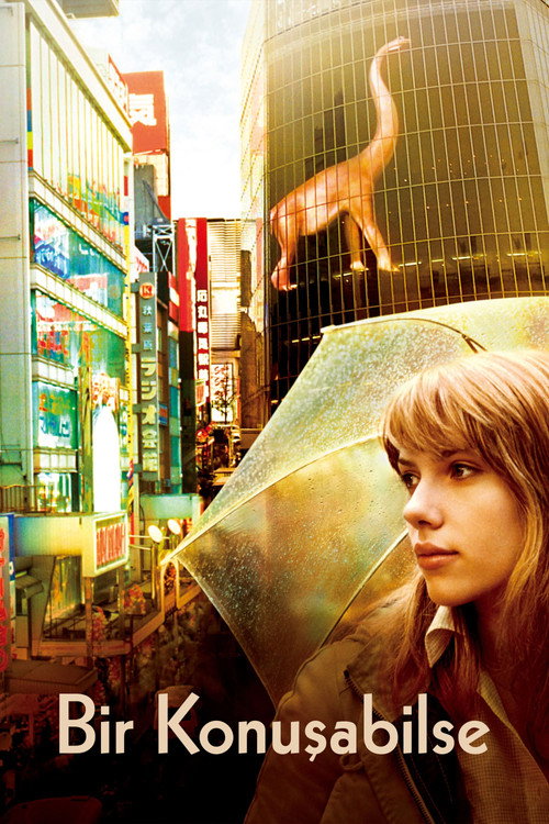 Lost in Translation film afişi