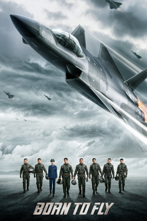 长空之王 film afişi