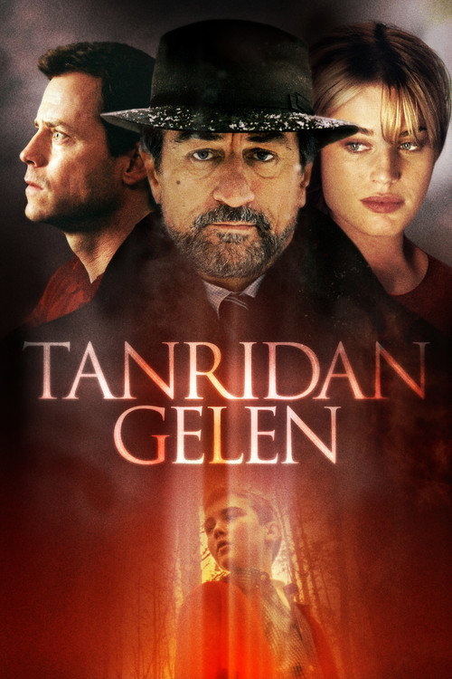 Godsend film afişi