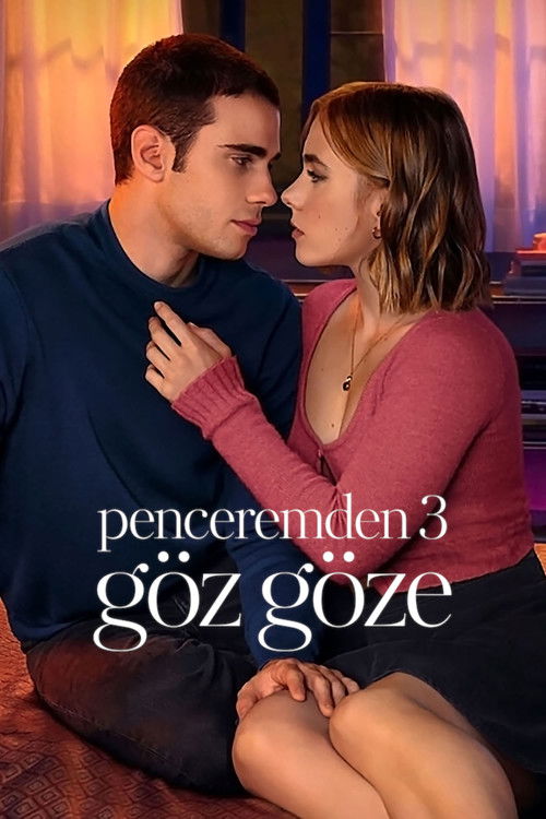 Through My Window 3: Looking at You film afişi