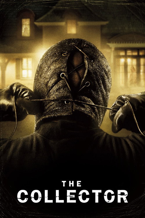 Koleksiyoncu film afişi