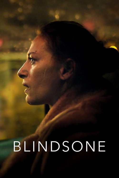 Blind Spot film afişi