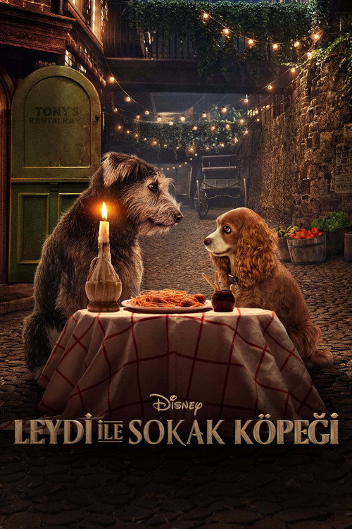 Lady and the Tramp film afişi