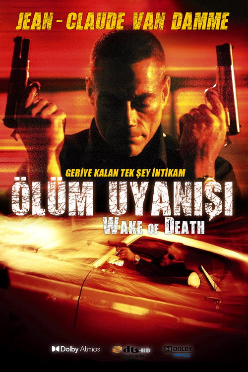 Wake of Death film afişi
