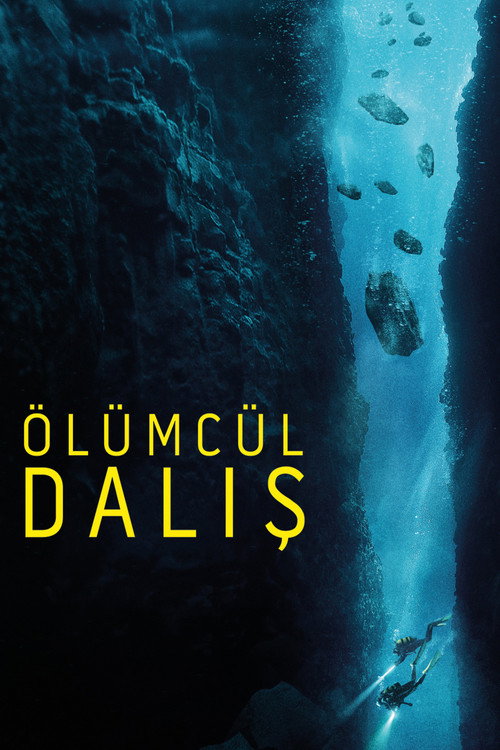 The Dive film afişi