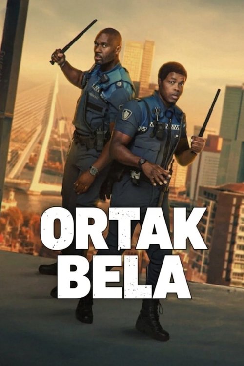 Almost Cops film afişi