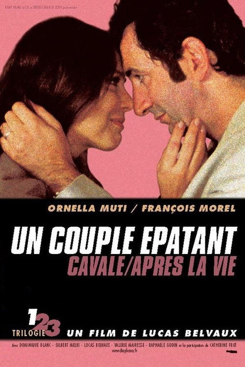 Un couple épatant film afişi