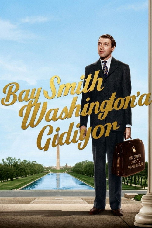 Bay Smith Washington'a Gidiyor film afişi