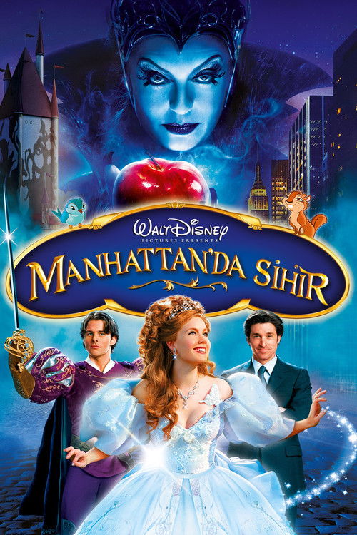 Enchanted film afişi
