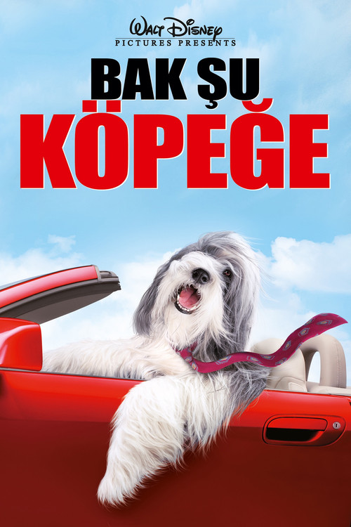 The Shaggy Dog film afişi