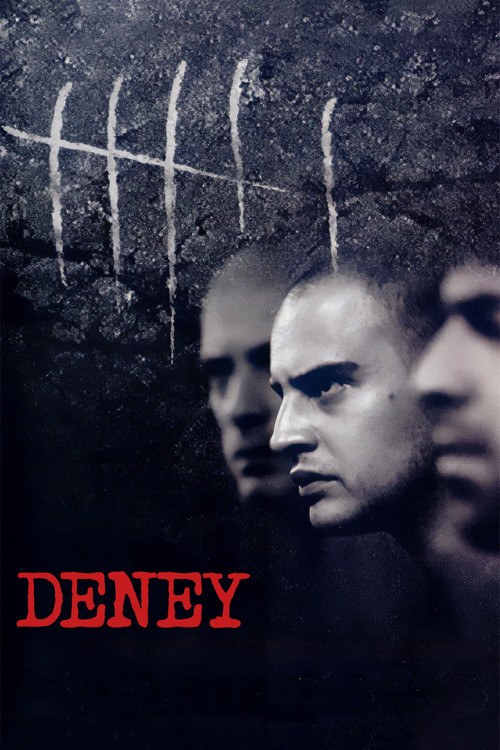 Deney film afişi