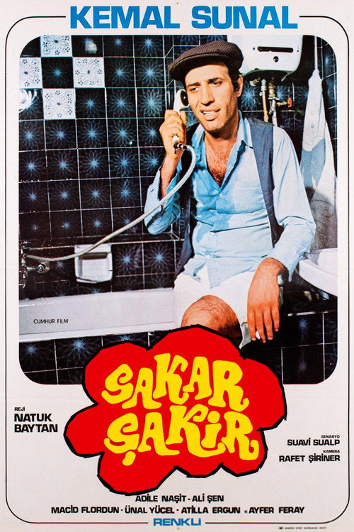 Sakar Şakir film afişi