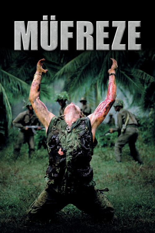 Platoon film afişi