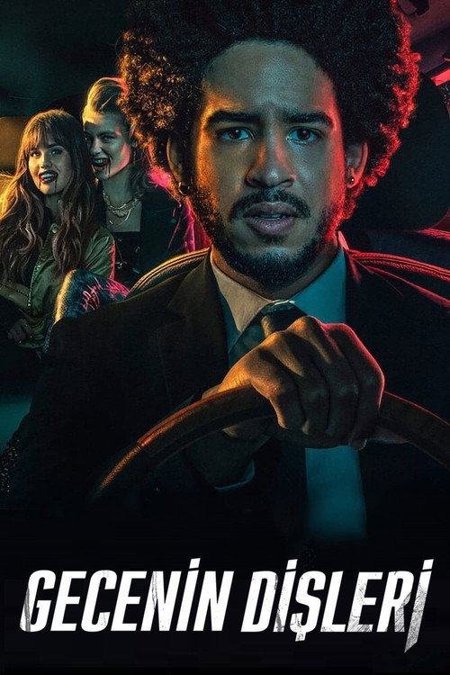 Gecenin Dişleri film afişi