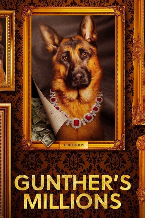 Gunther'ın Serveti dizi afişi