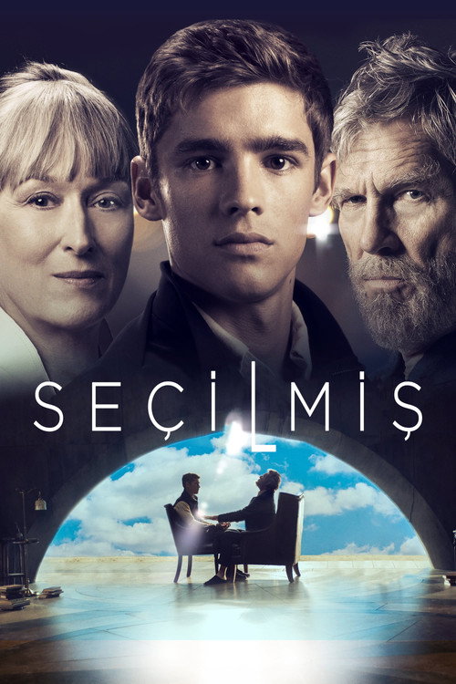 Seçilmiş film afişi