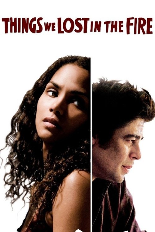 Things We Lost in the Fire film afişi