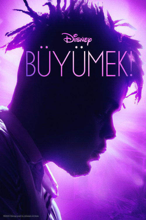 Büyümek! dizi afişi
