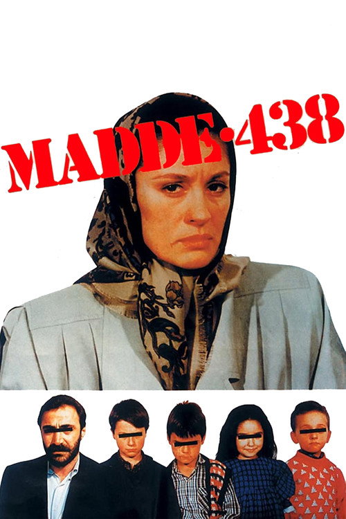 Madde 438 film afişi