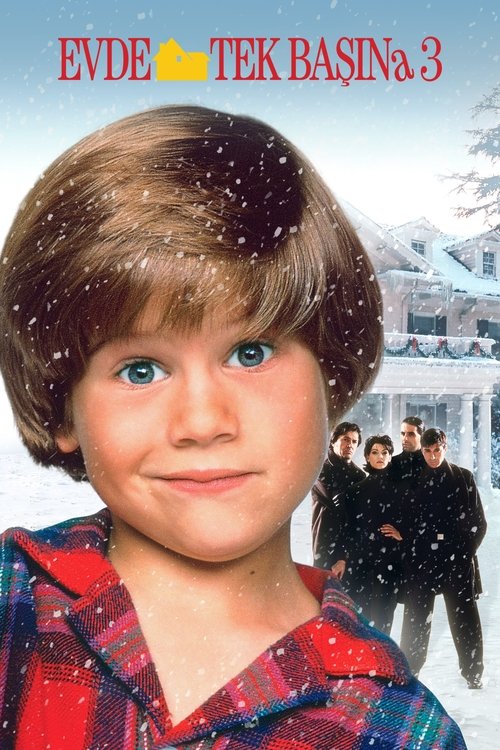 Home Alone 3 film afişi