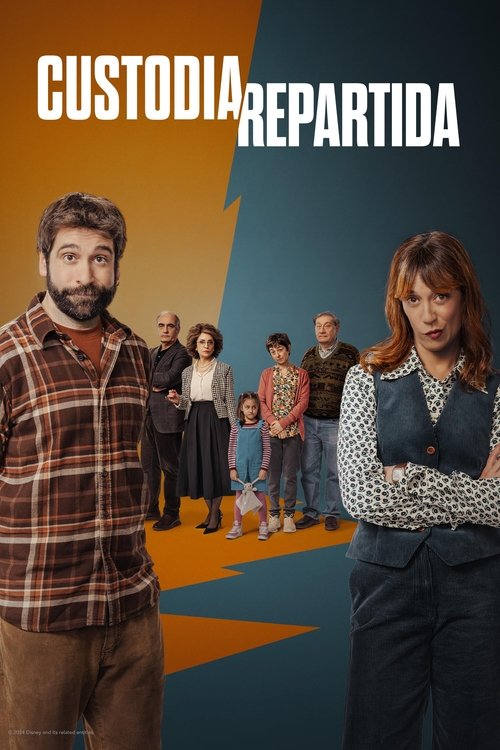 Shared Custody dizi afişi