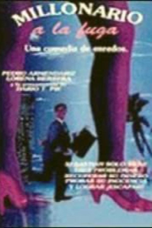 Millonario a la fuga film afişi