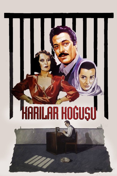 Karılar Koğuşu film afişi
