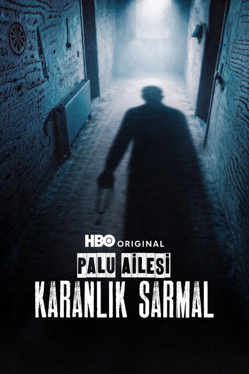 Palu Ailesi: Karanlık Sarmal dizi afişi