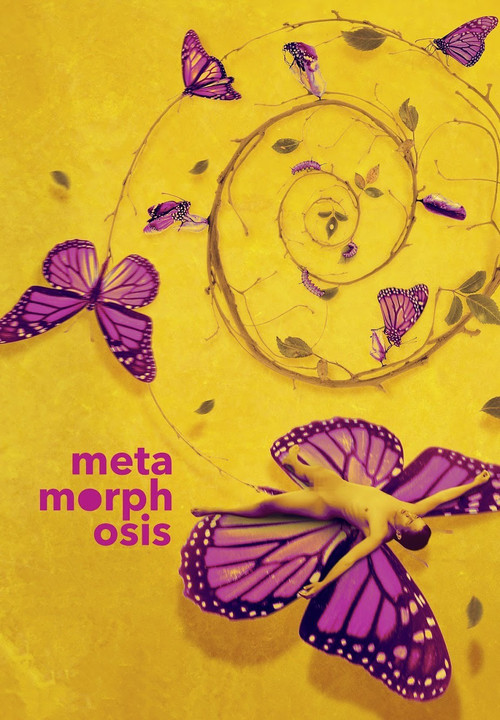Metamorphosis film afişi