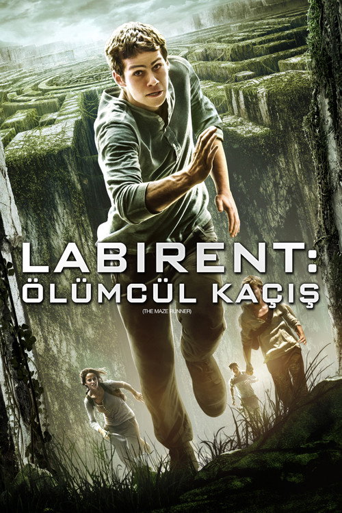 The Maze Runner film afişi