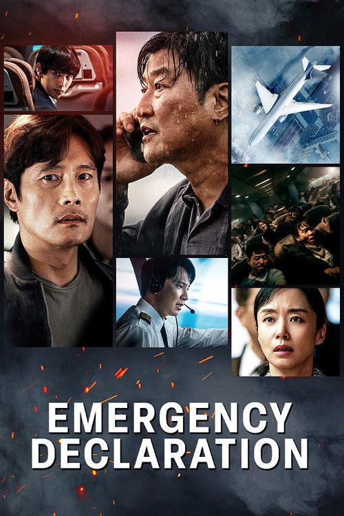 비상선언 film afişi