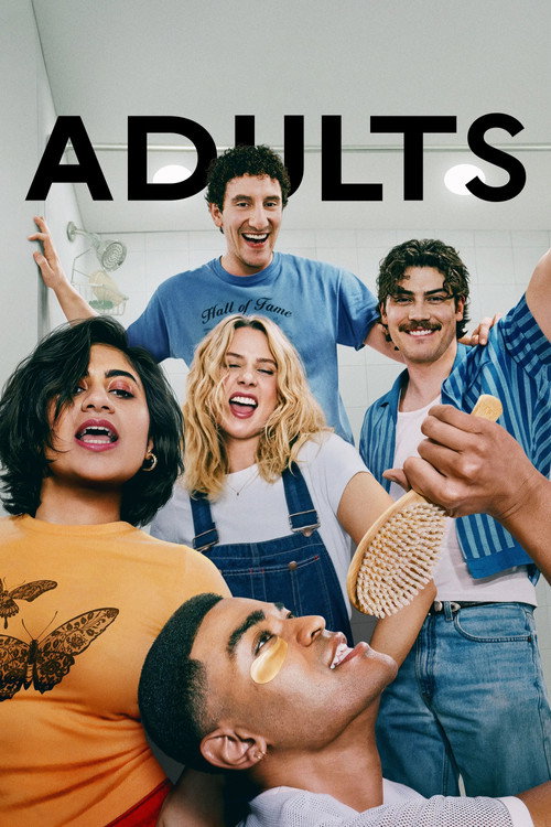 Adults dizi afişi