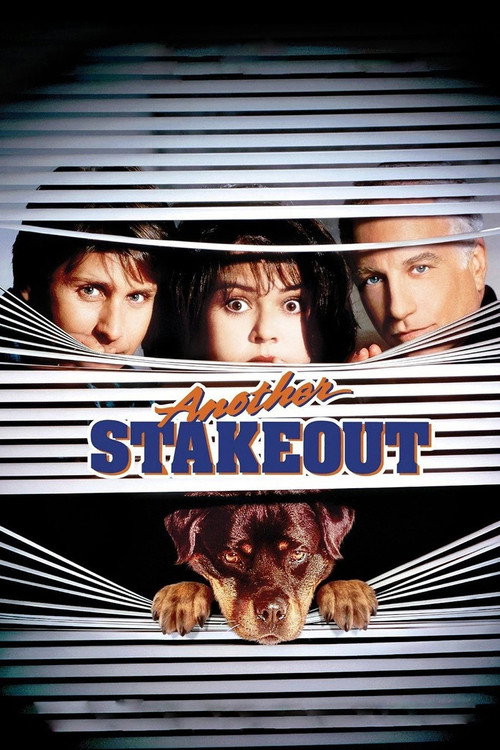 Another Stakeout film afişi